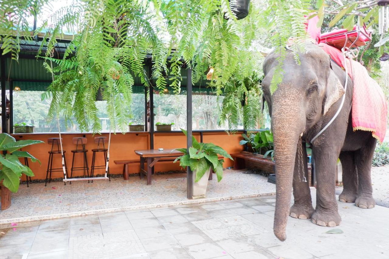 The Park Ayutthaya Resort And Spa מראה חיצוני תמונה