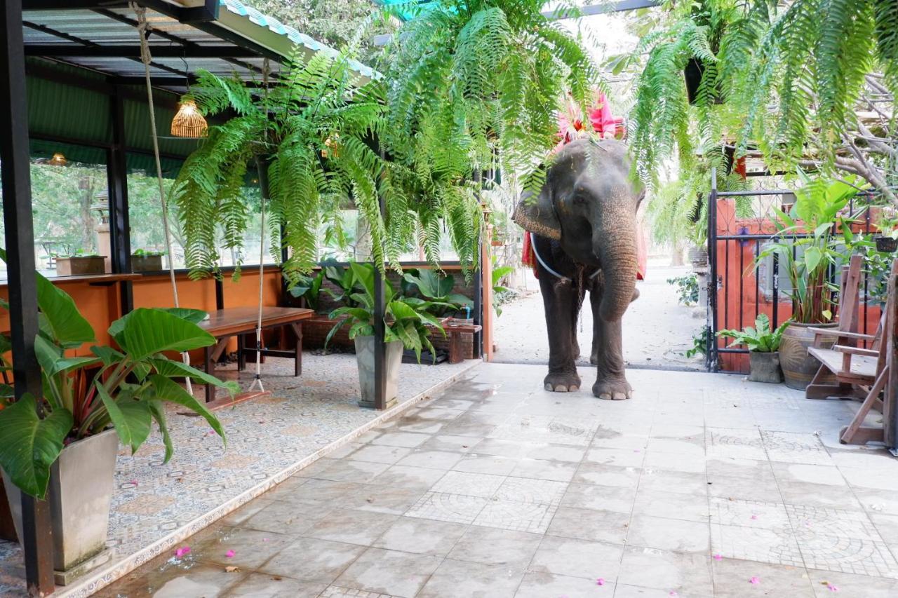 The Park Ayutthaya Resort And Spa מראה חיצוני תמונה