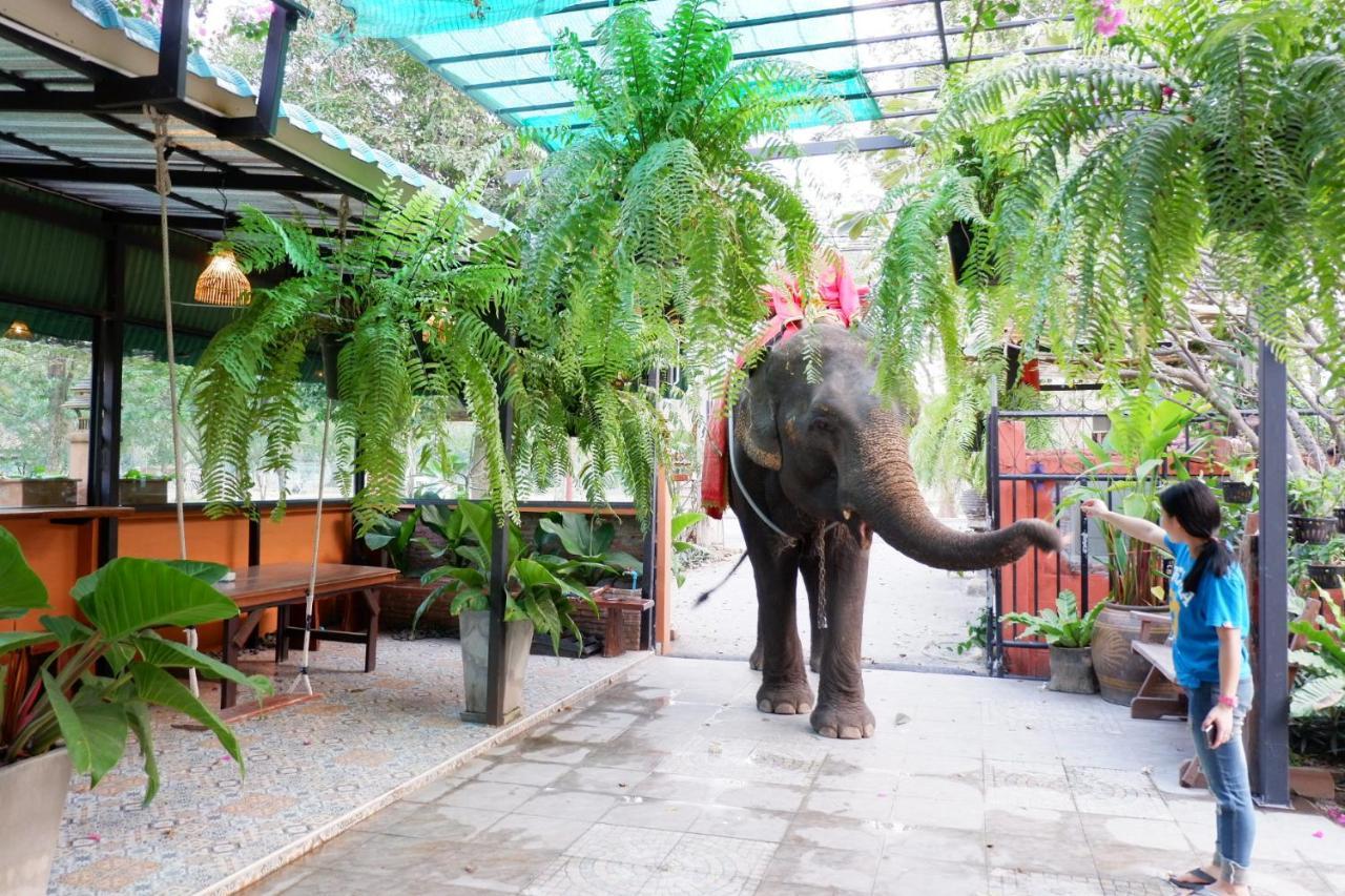 The Park Ayutthaya Resort And Spa מראה חיצוני תמונה